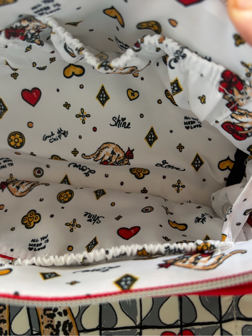 Brighton Wild Love Cosmetic Bag *NWT* - Picture 3 of 3